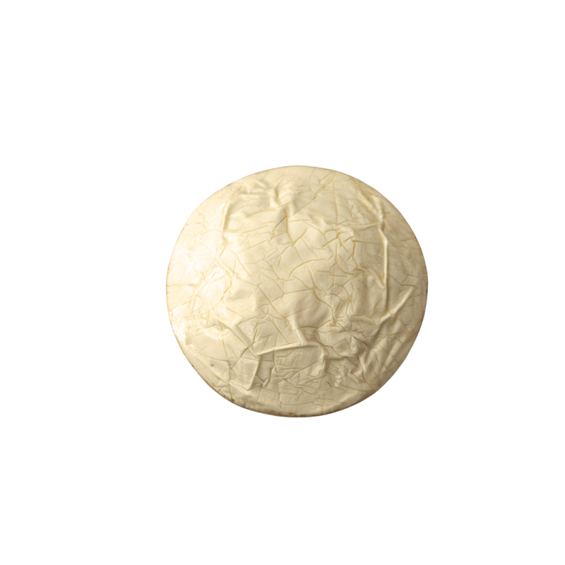 Forma di formaggio fuso