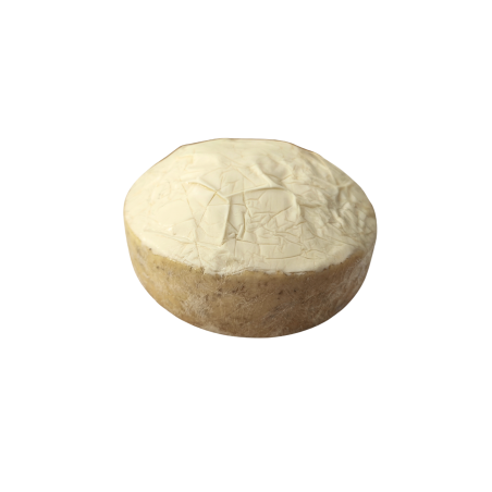 Forma di formaggio fuso