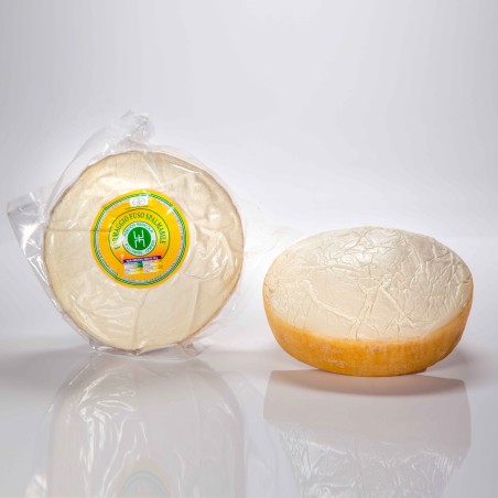 Forma di formaggio fuso